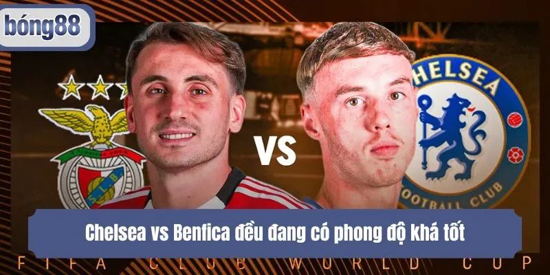 Chelsea vs Benfica đều đang có phong độ khá tốt