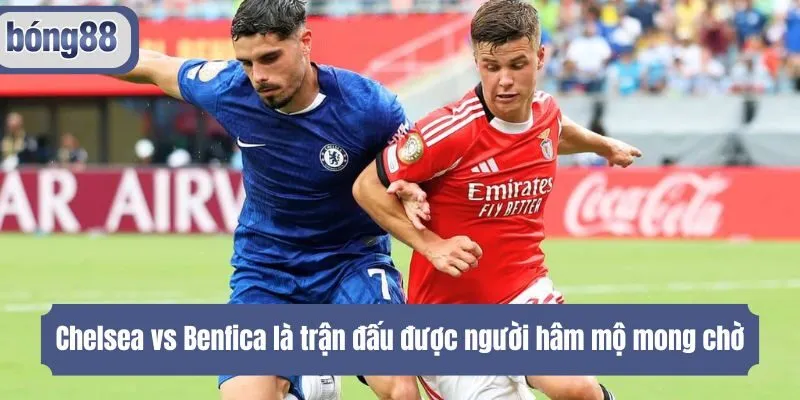 Chelsea vs Benfica là trận đấu được người hâm mộ mong chờ