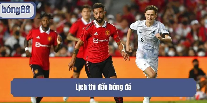 Lịch thi đấu bóng đá