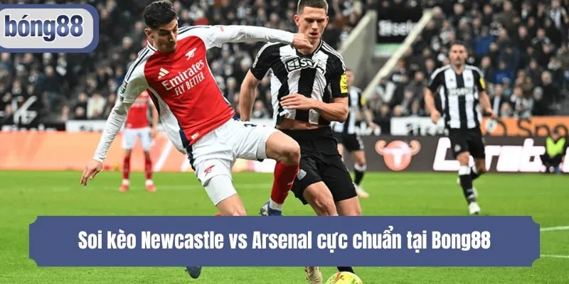 Soi kèo Newcastle vs Arsenal cực chuẩn tại Bong88