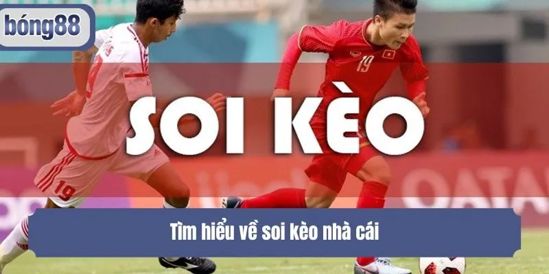 Tìm hiểu về soi kèo nhà cái